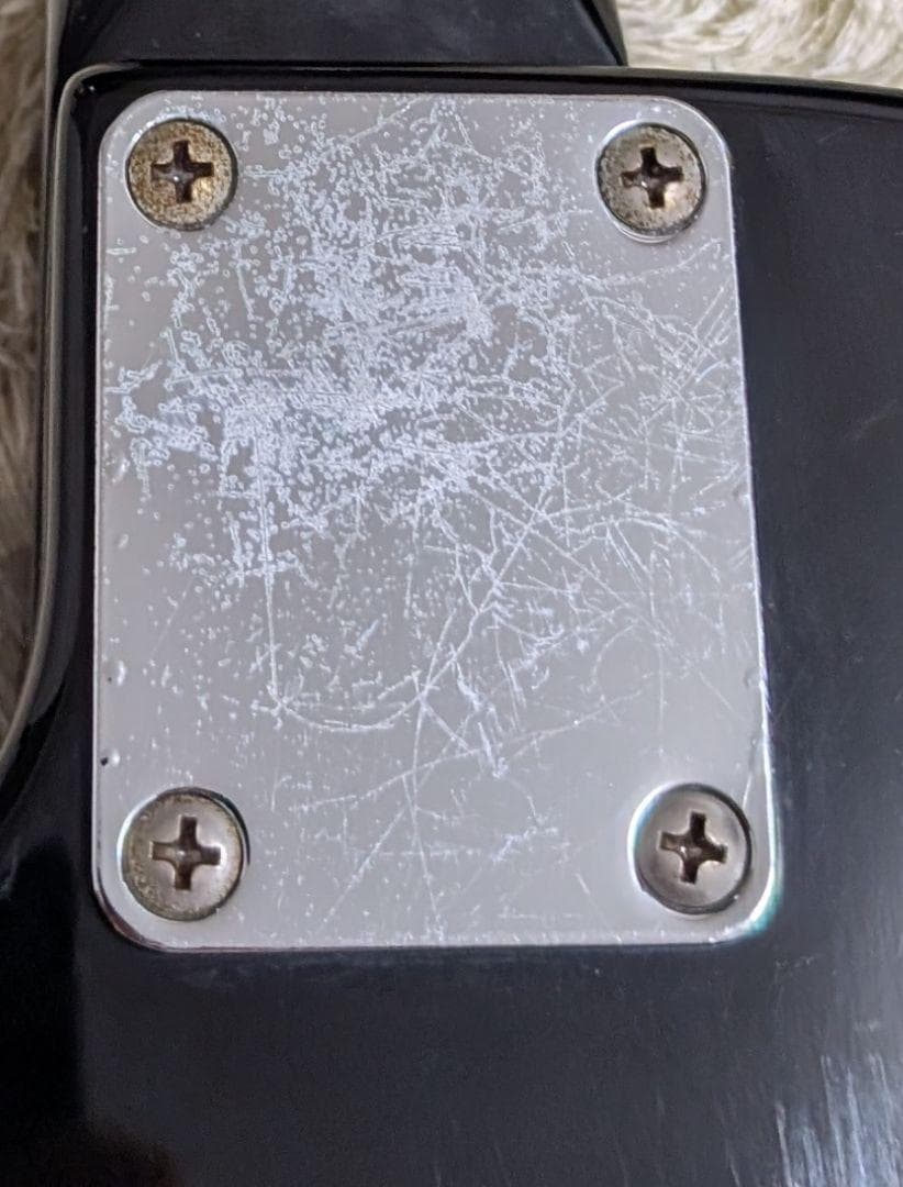 グラスルーツ Grass Roots GI-48LP