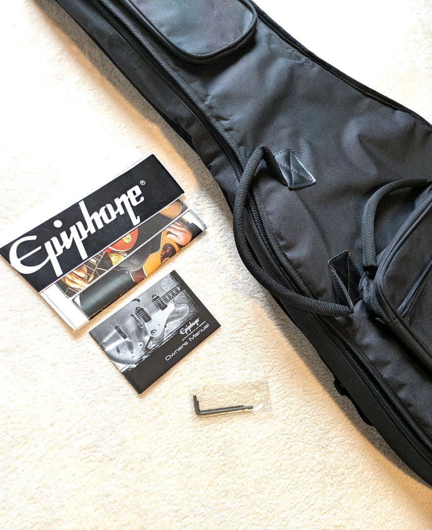 Epiphone Century Reissueグッドコンディション