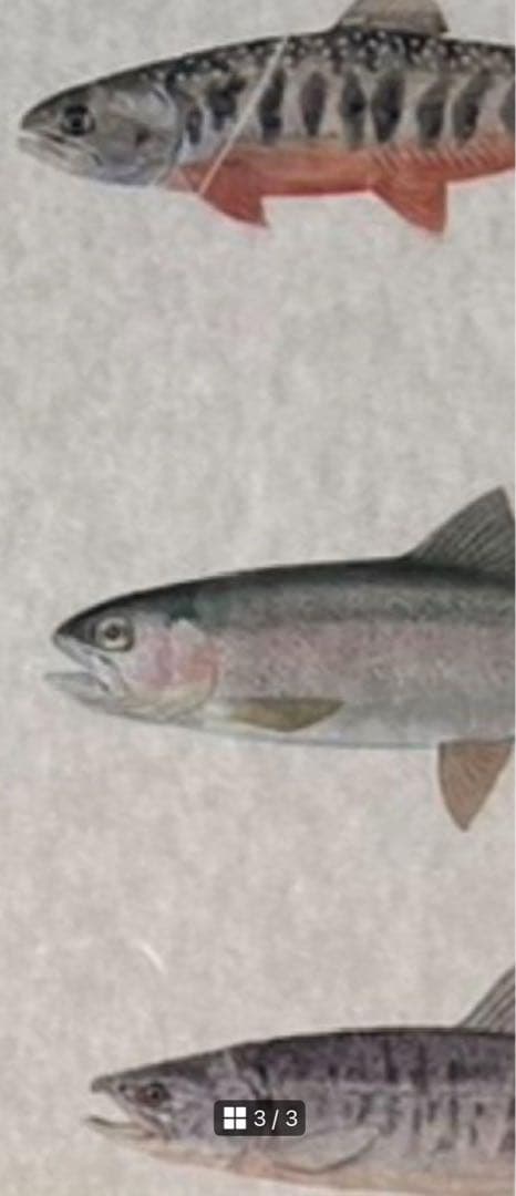 スノーピーク 新品 限定 デザイン チタンマグ 3種セット 北広島