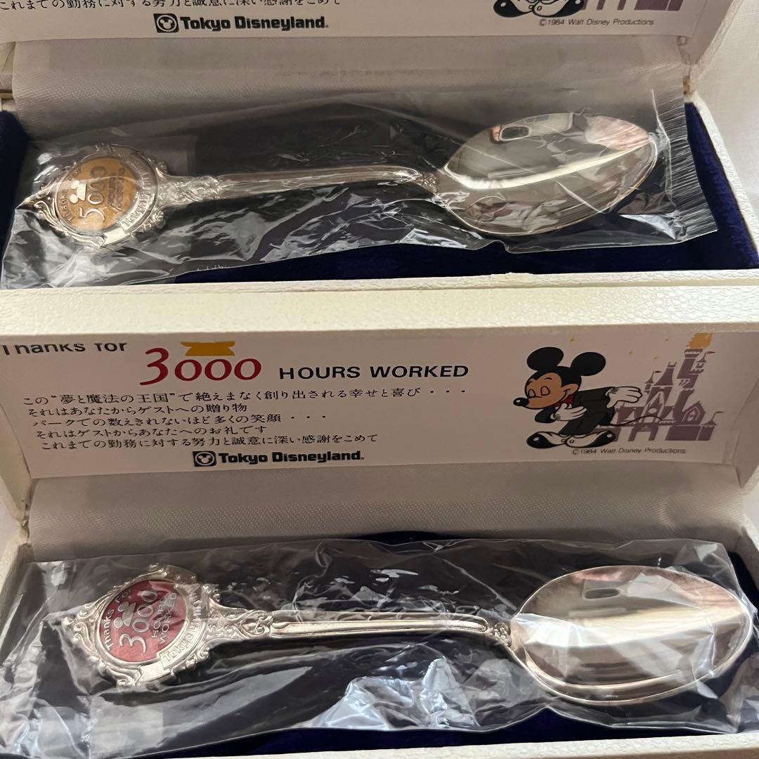 東京ディズニーランド キャスト 勤続記念スプーン 箱付き 非売品