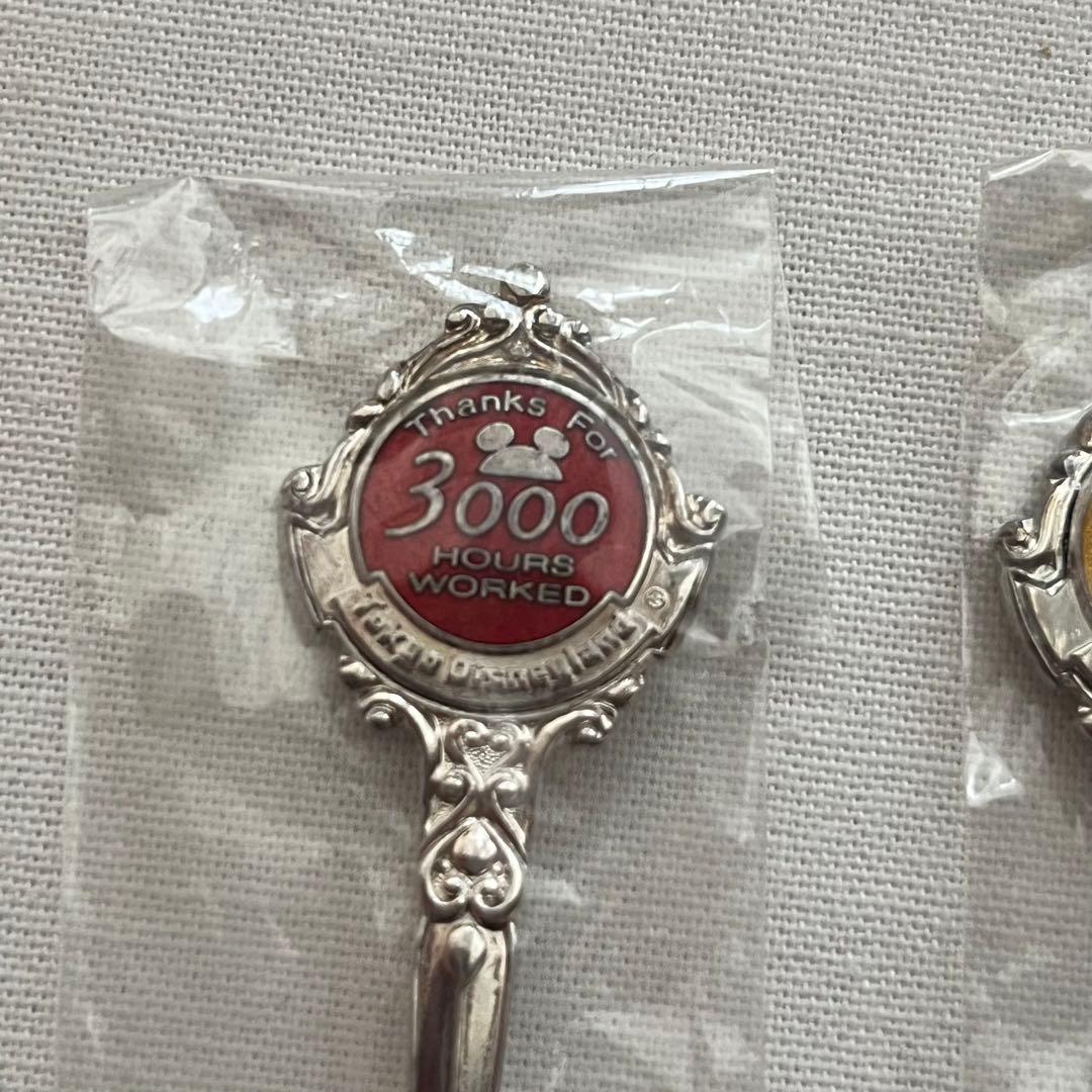 東京ディズニーランド キャスト 勤続記念スプーン 箱付き 非売品