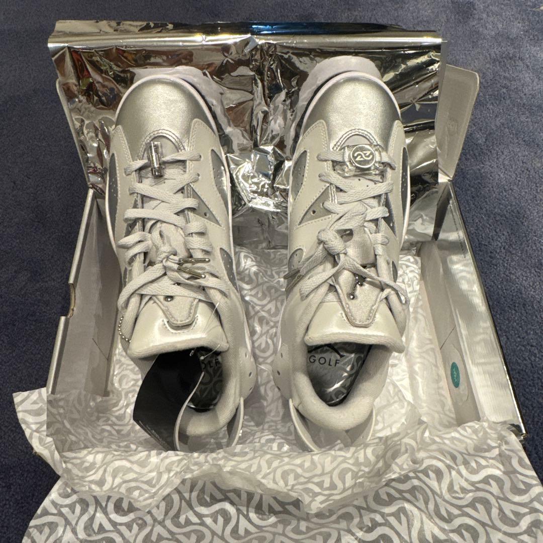 JORDAN RETRO6 GOLF 27cm ジョーダン6