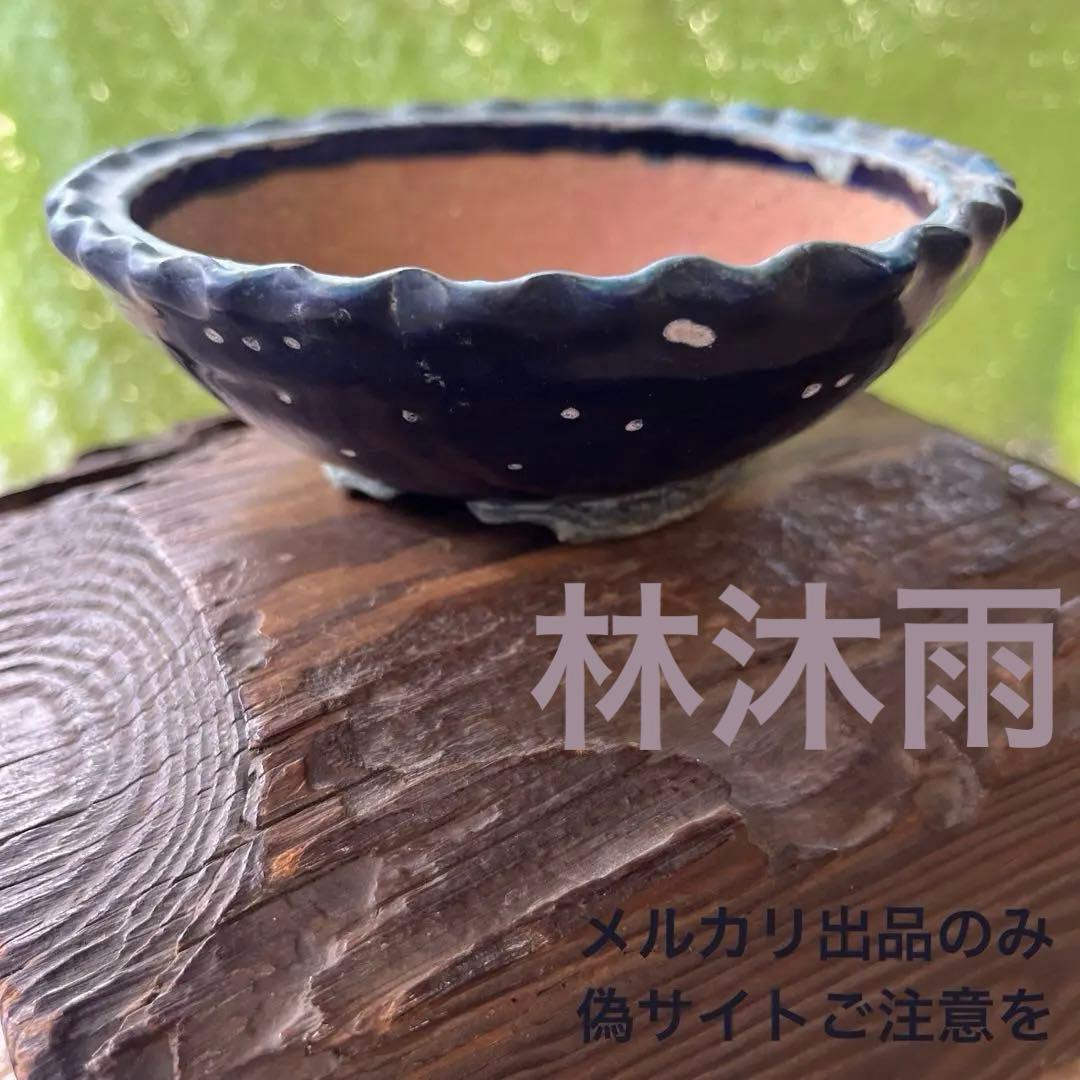 林沐雨　小品　盆栽鉢　レトロ　　(A7)