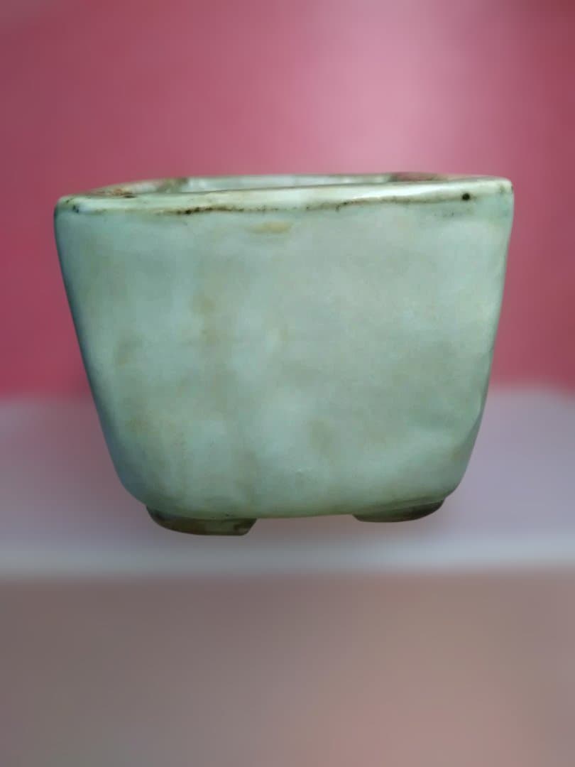 ナマズの絵柄の盆栽鉢