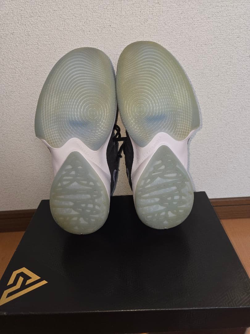 ナイキ　バスケットボールシューズ　ZOOM FREAK 2