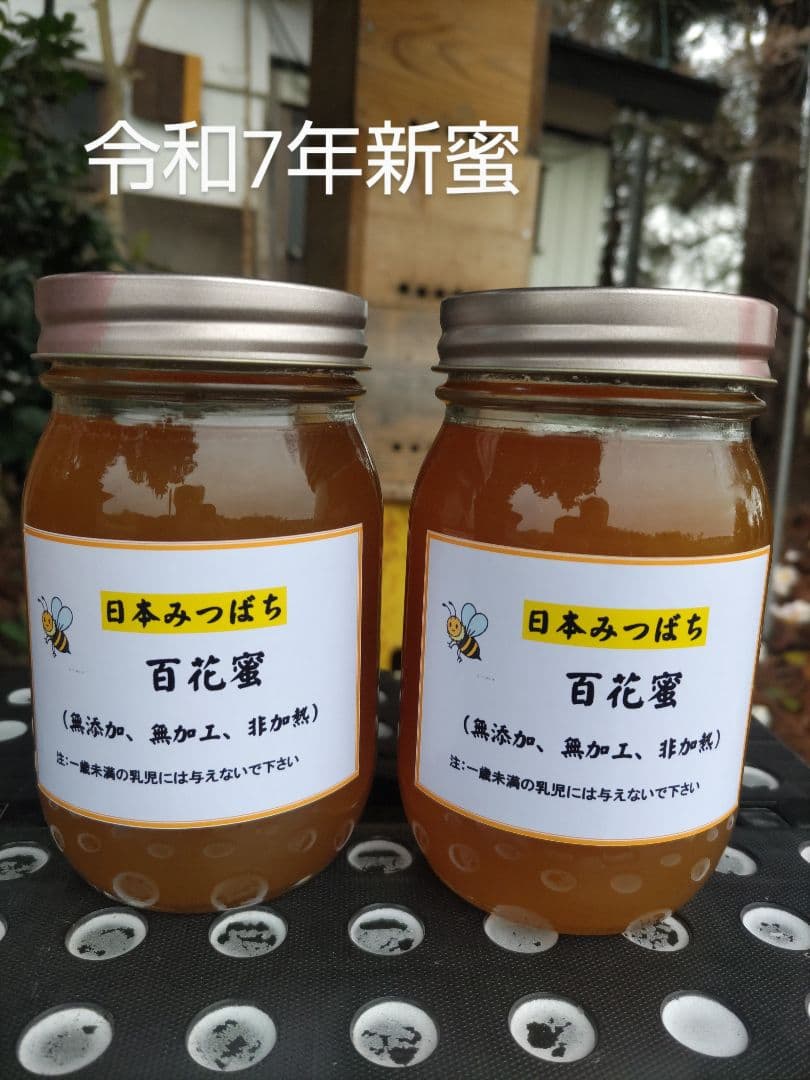 「rii☆」新蜜　日本ミツバチの百花蜜（１年物）　550ｇ✕4本