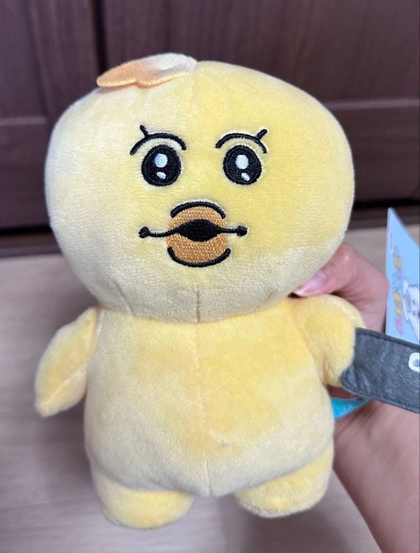 んぽちゃむ　きみまろ　ぬいぐるみ　5個セット(2/2)