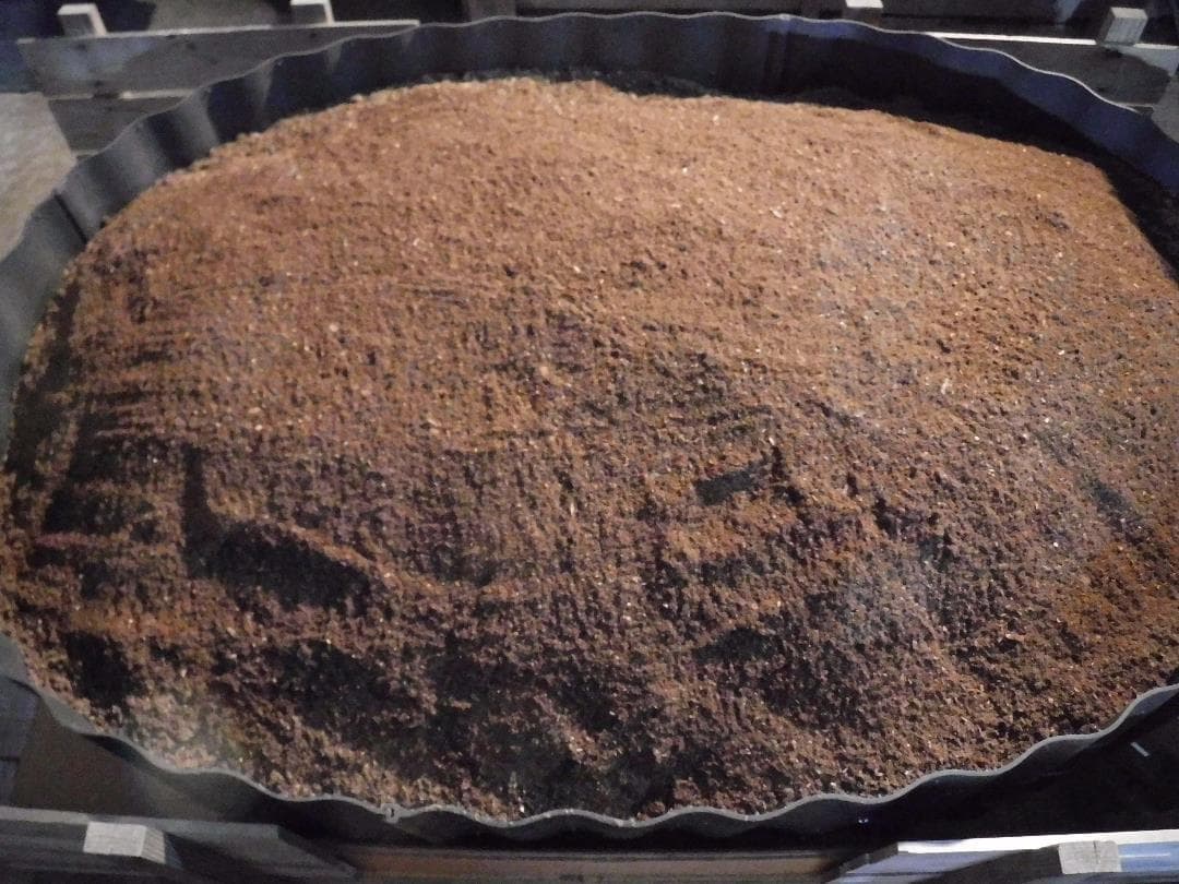 カブトムシマット：発酵熟成竹①：成虫・幼虫飼育用：１，０００ℓ