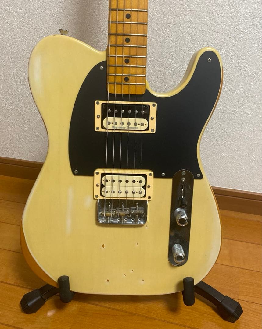 EDWARDS テレギブ　ESP