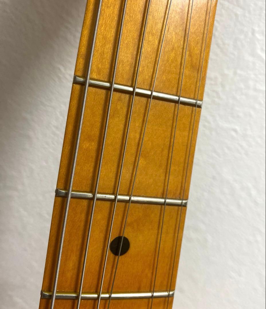 EDWARDS テレギブ　ESP