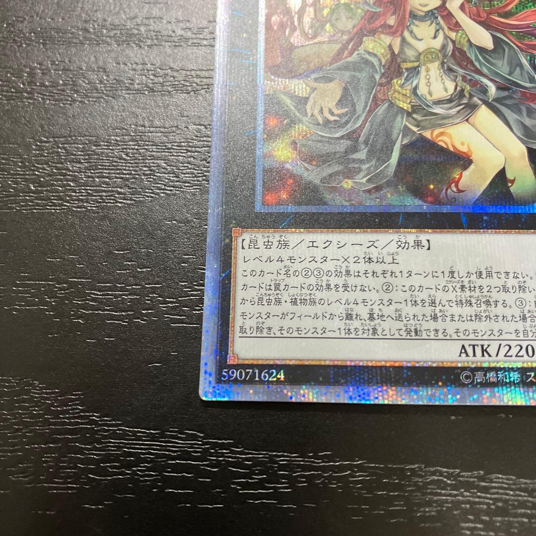 遊戯王　アロメルスの蟲惑魔 20thシークレットレア1枚