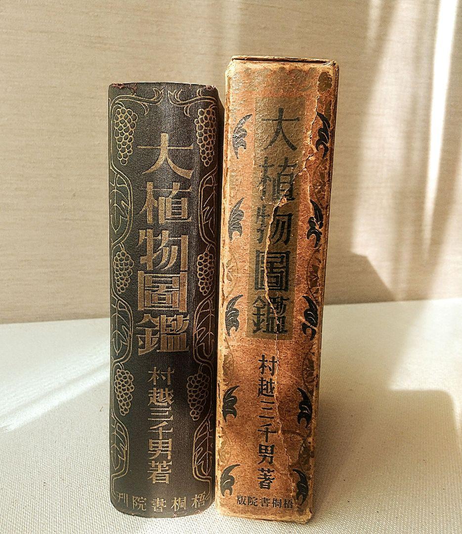【戦前・初版本】大植物圖鑑　昭和十六年　らんまん・牧野富太郎ライバル　村越三千男