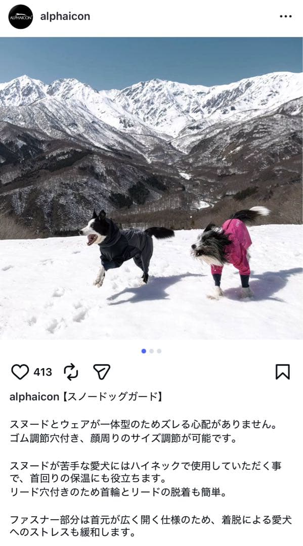 ALPHAICON アルファアイコン スノードッグガード Sサイズ 2023