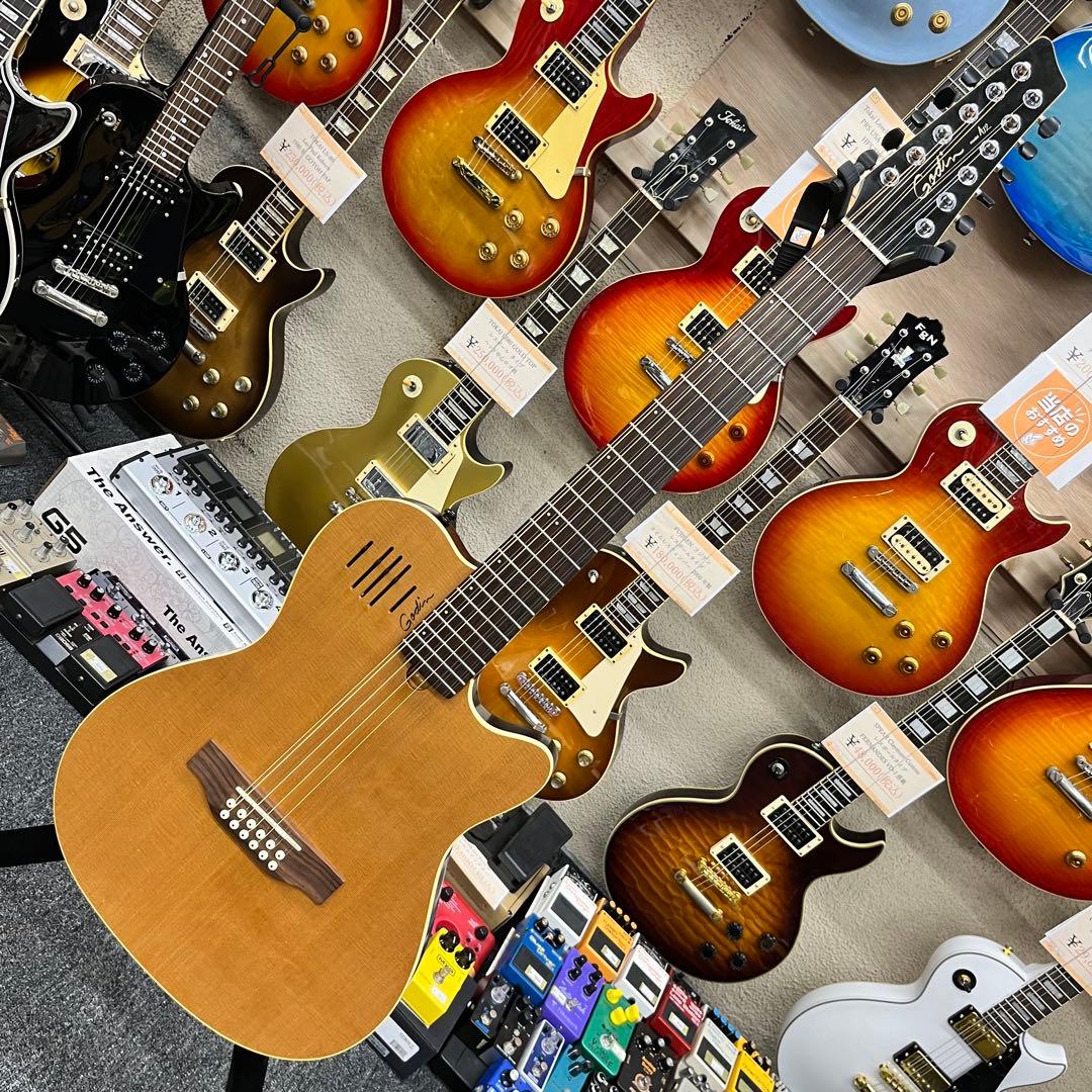 【11544】Godin A12 12弦 ギター ゴダン