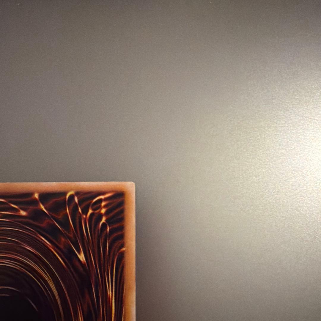 遊戯王 青眼の白龍 レリーフ レリブル アルティメットレア