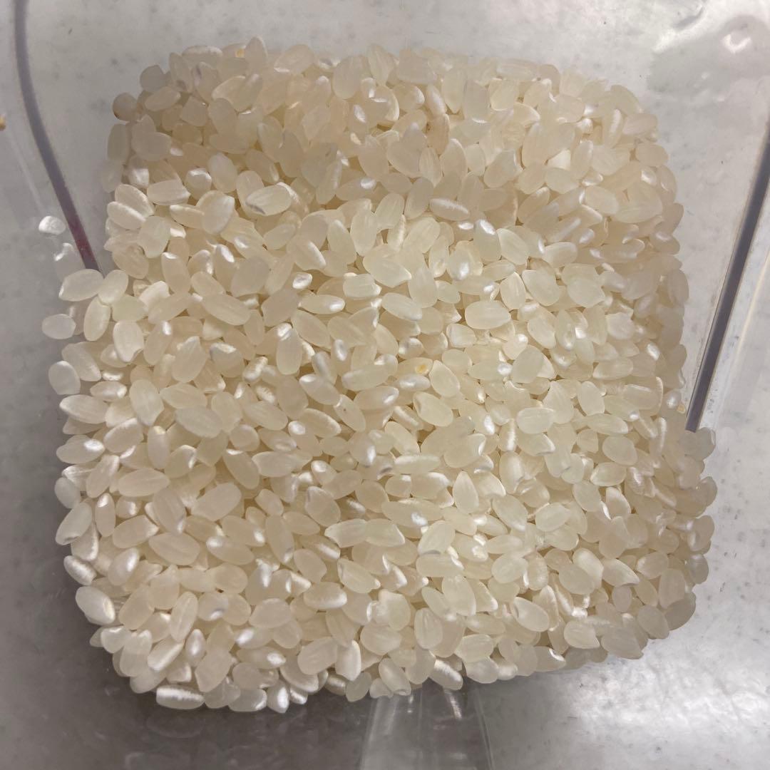 令和7年 福島県産コシヒカリ 玄米20kg