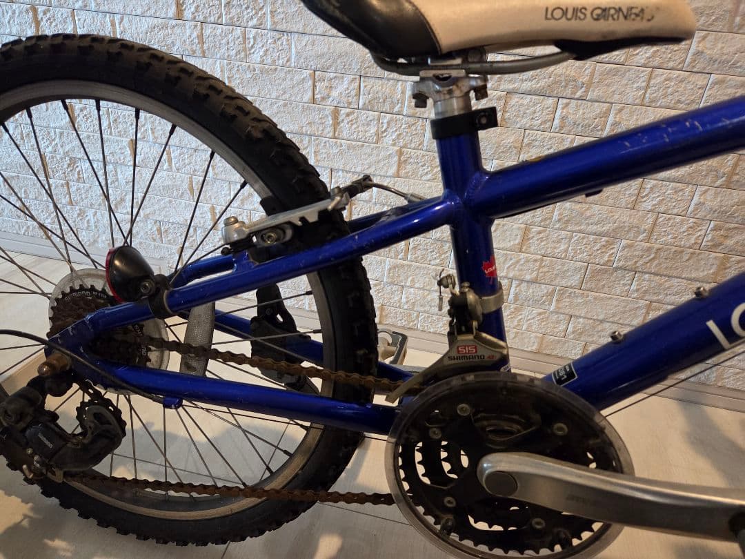 あかみや♪ ルイガノ LOUIS GARNEAU 22インチ（キッズ）