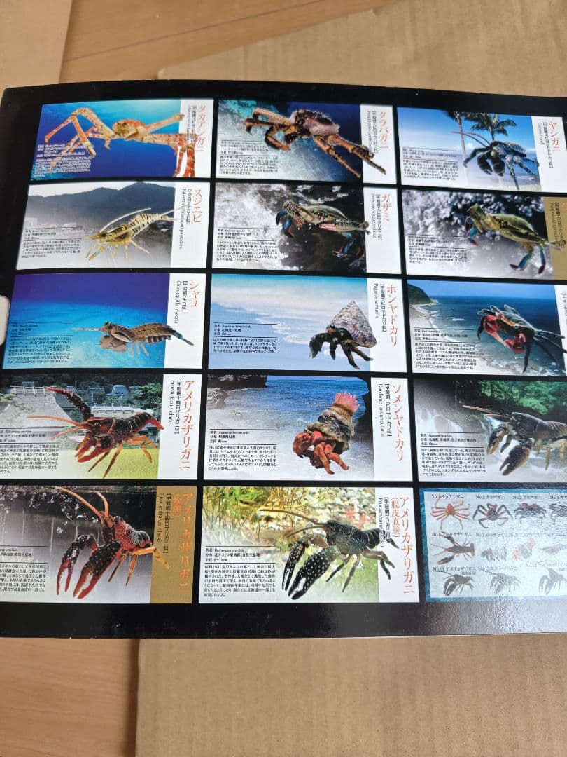 原色甲殻類エビ・カニ図鑑I　コンプリート専用ケース、ミニブック付き