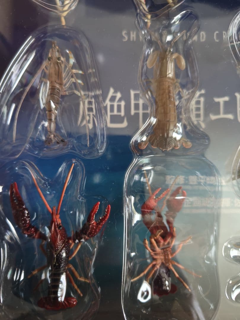 原色甲殻類エビ・カニ図鑑I　コンプリート専用ケース、ミニブック付き