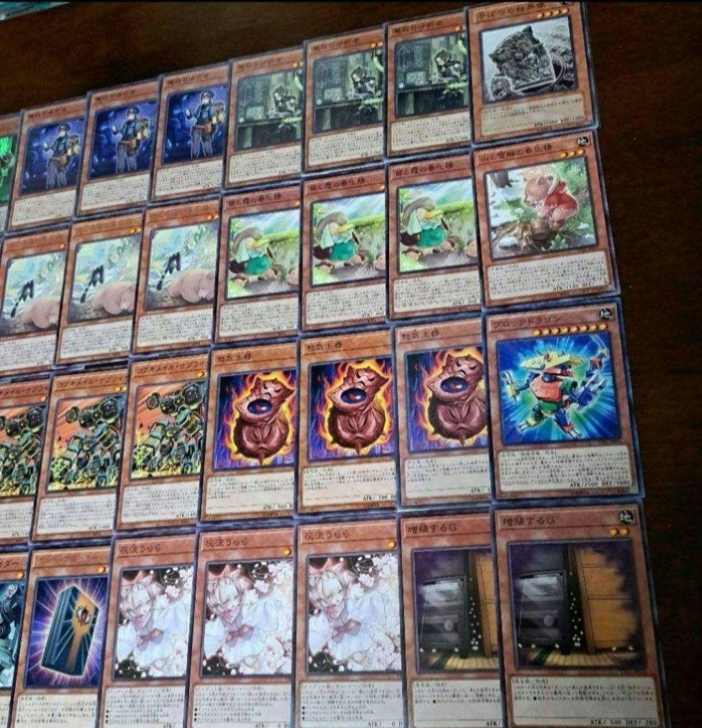 【大会仕様構築】遊戯王　構築済みデッキ 58枚　春化精 アダマシア　本格ガチ