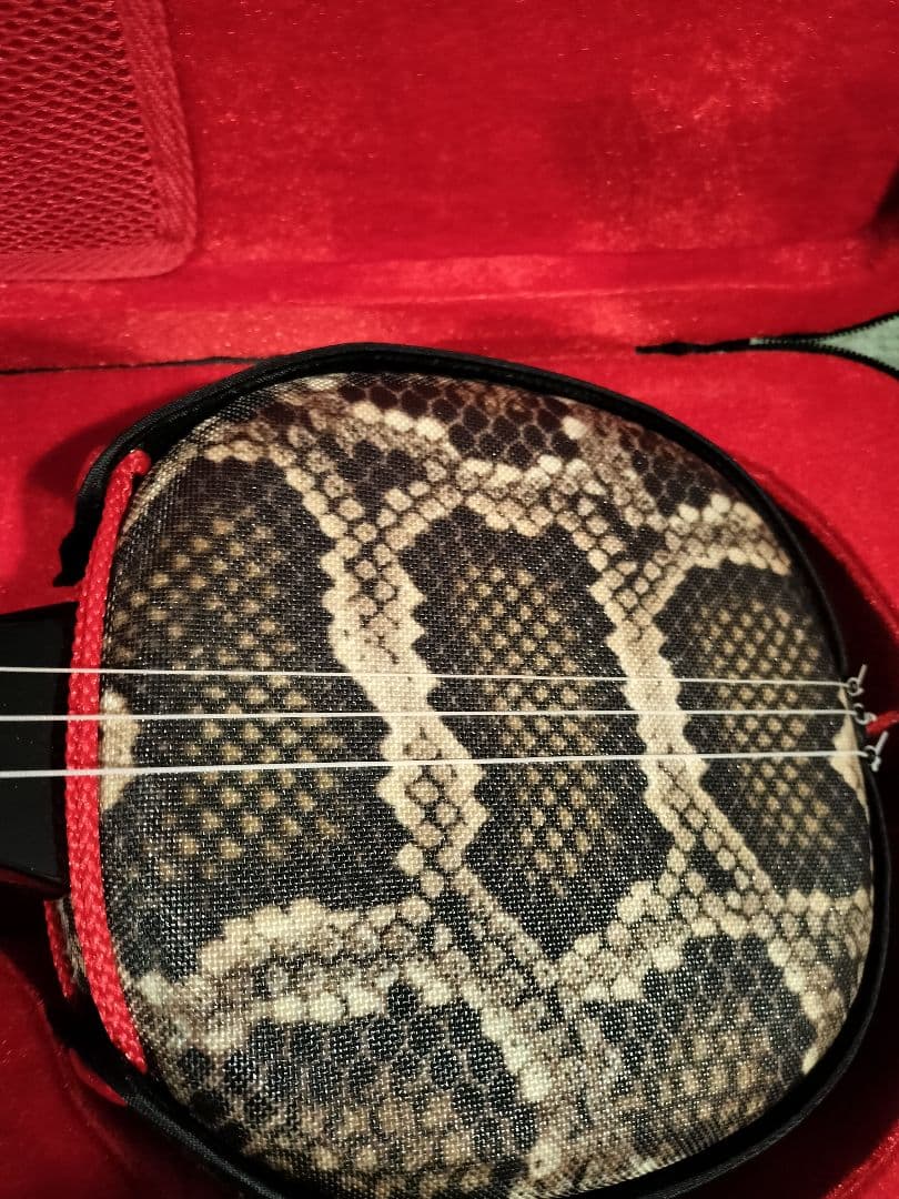 沖縄三線　セミハードケース