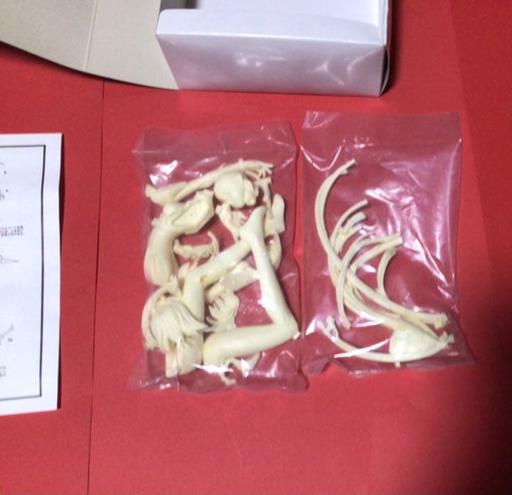 綾波レイ新劇場版:序1/6スケールレジンキットVOLKS岬太郎(造形村)