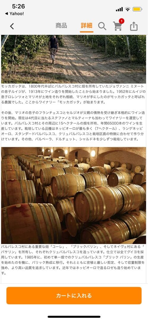 モッカガッタ バルバレスコ ブリック バリン 2018 　PP93