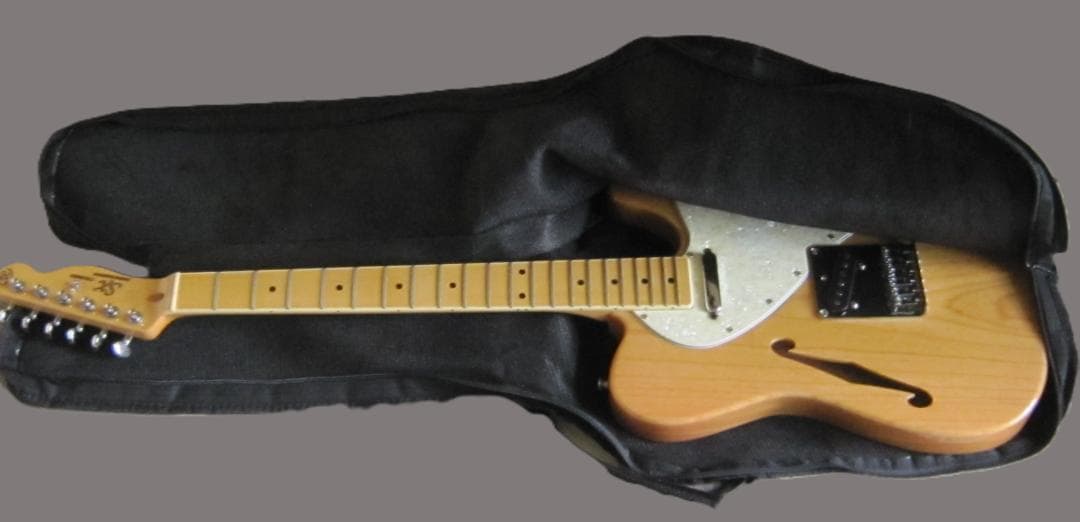 美品　SX エレキギター VTG シリーズ Thinline テレキャスタイプ