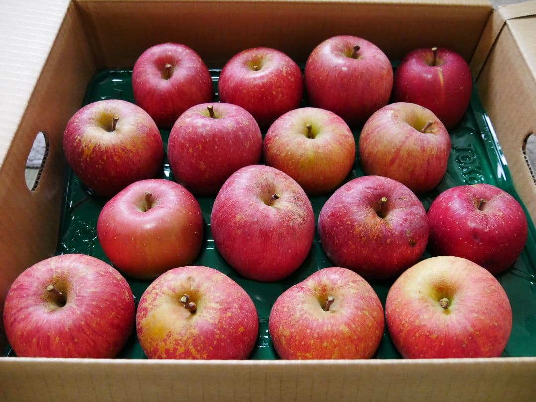 ちゃんこ岩手県産 ご家庭用2箱20kg 完熟サンふじ大玉・中玉