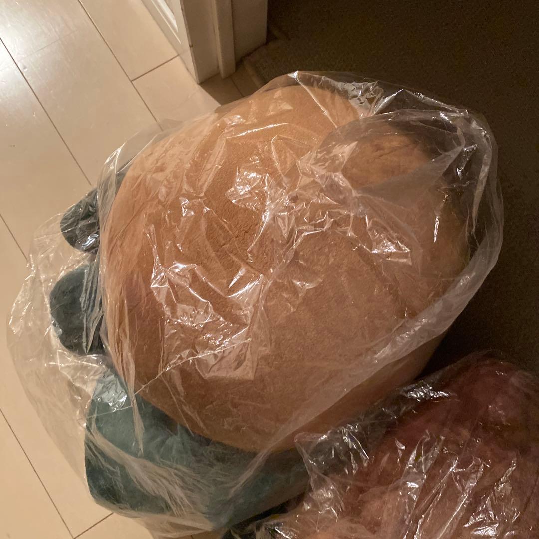 激レア非売品　ゼスプリ キウイブラザーズ 特大ぬいぐるみ　２体セット