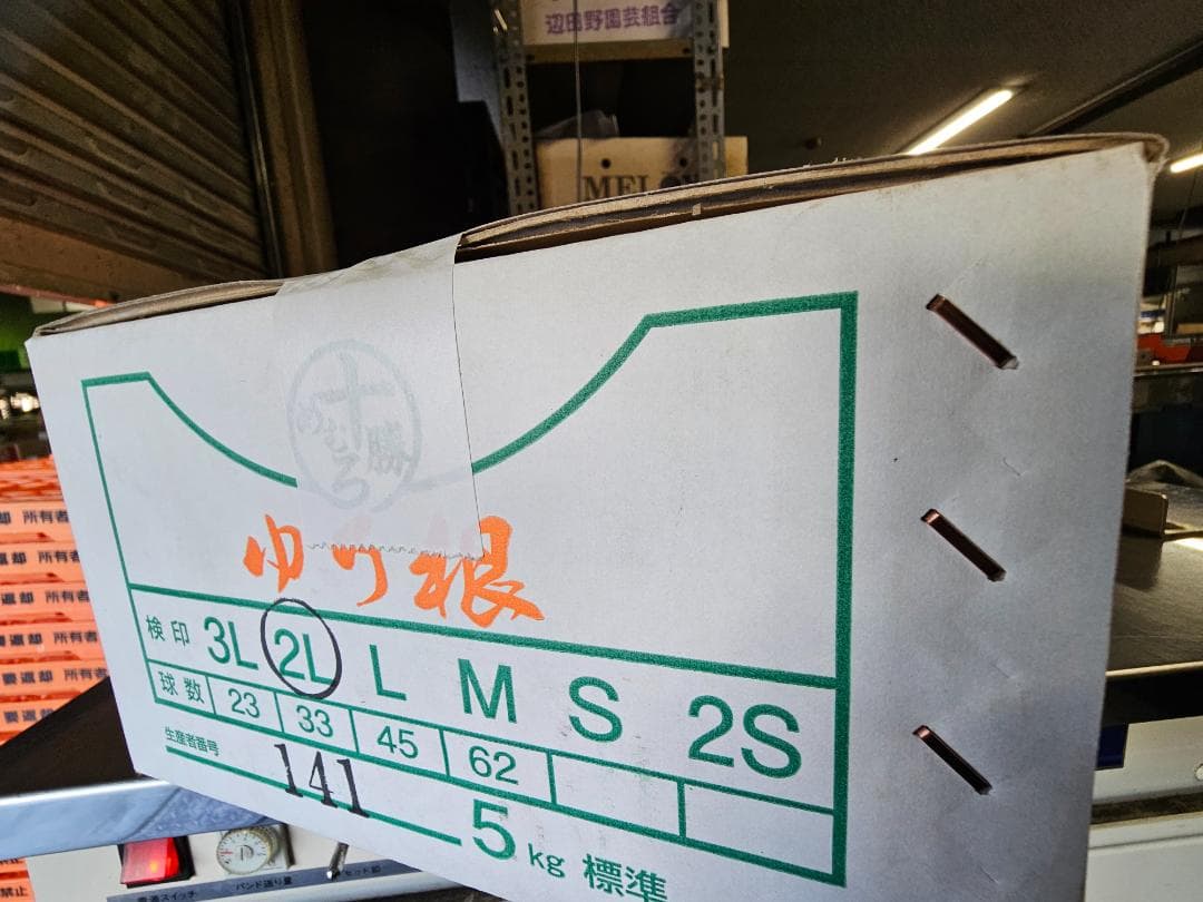 nao　百合根　ゆりね　特大2L　33個入り　5K