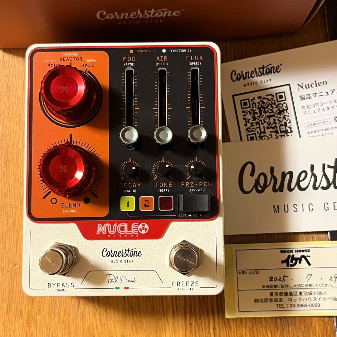 ギター Cornerstone Nucleo Paul Davids Reverb