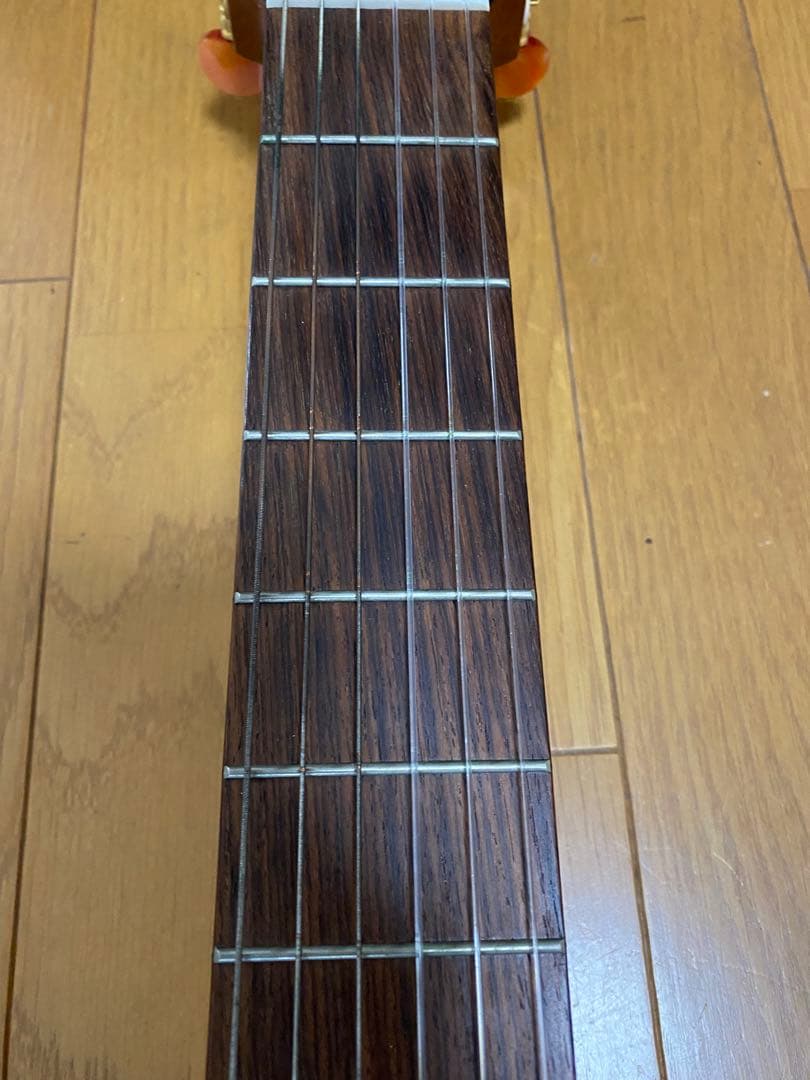 サイレントギター SLG-100N