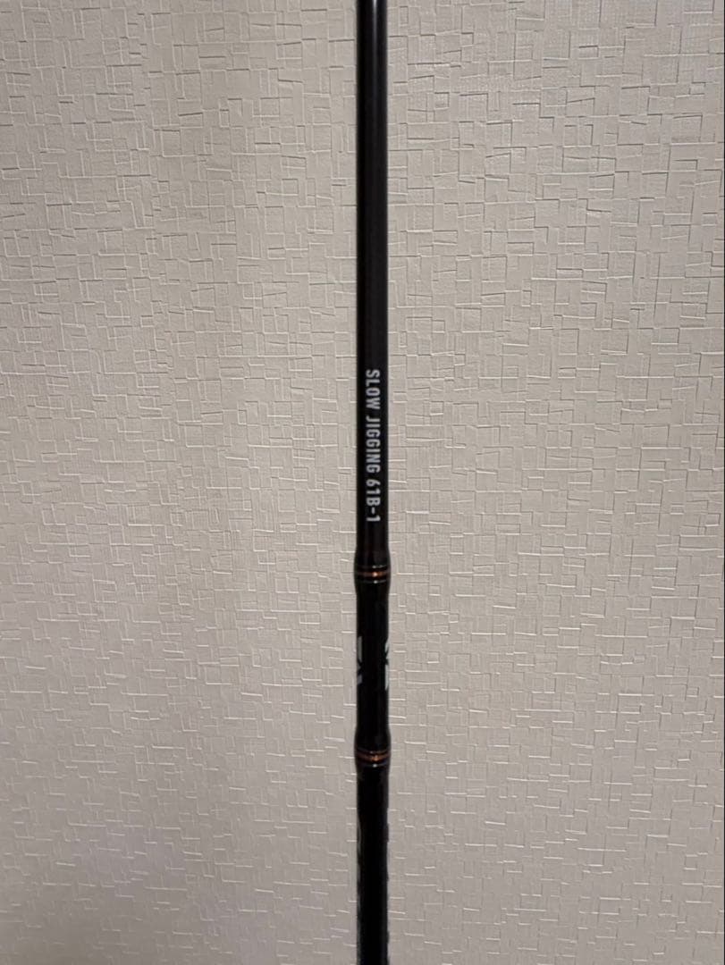 ダイワ 2021 ソルティガ SJ 61B-1W