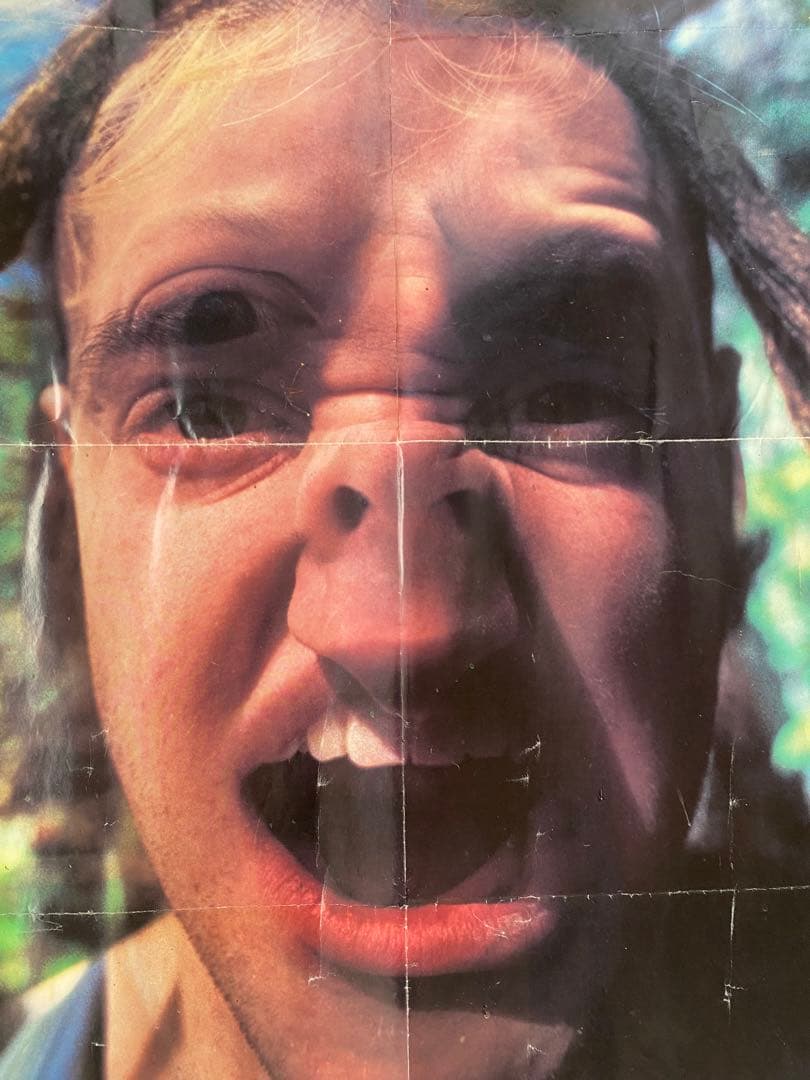 BUTTHOLE SURFERS / 特大ポスター