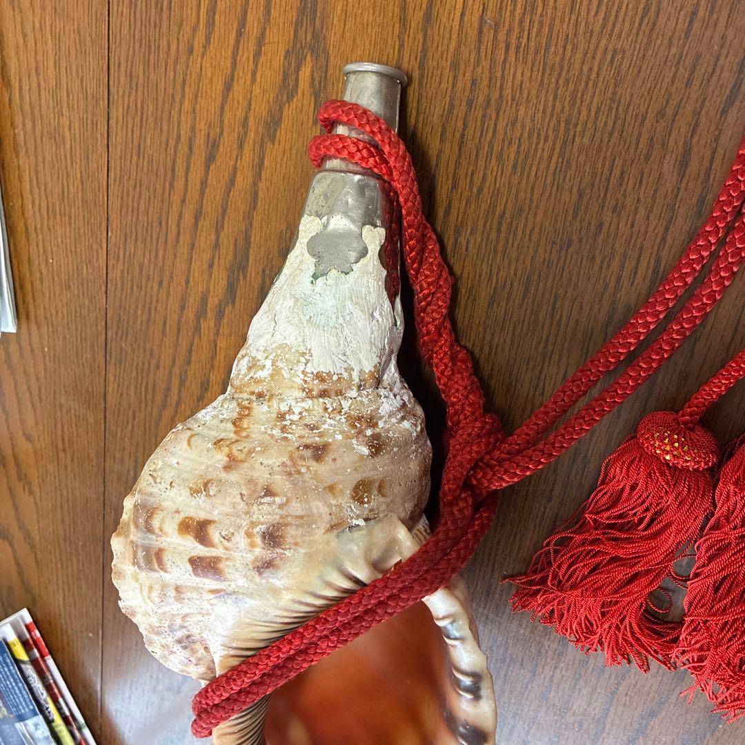 貝殻楽器 赤い紐付き 約20cm