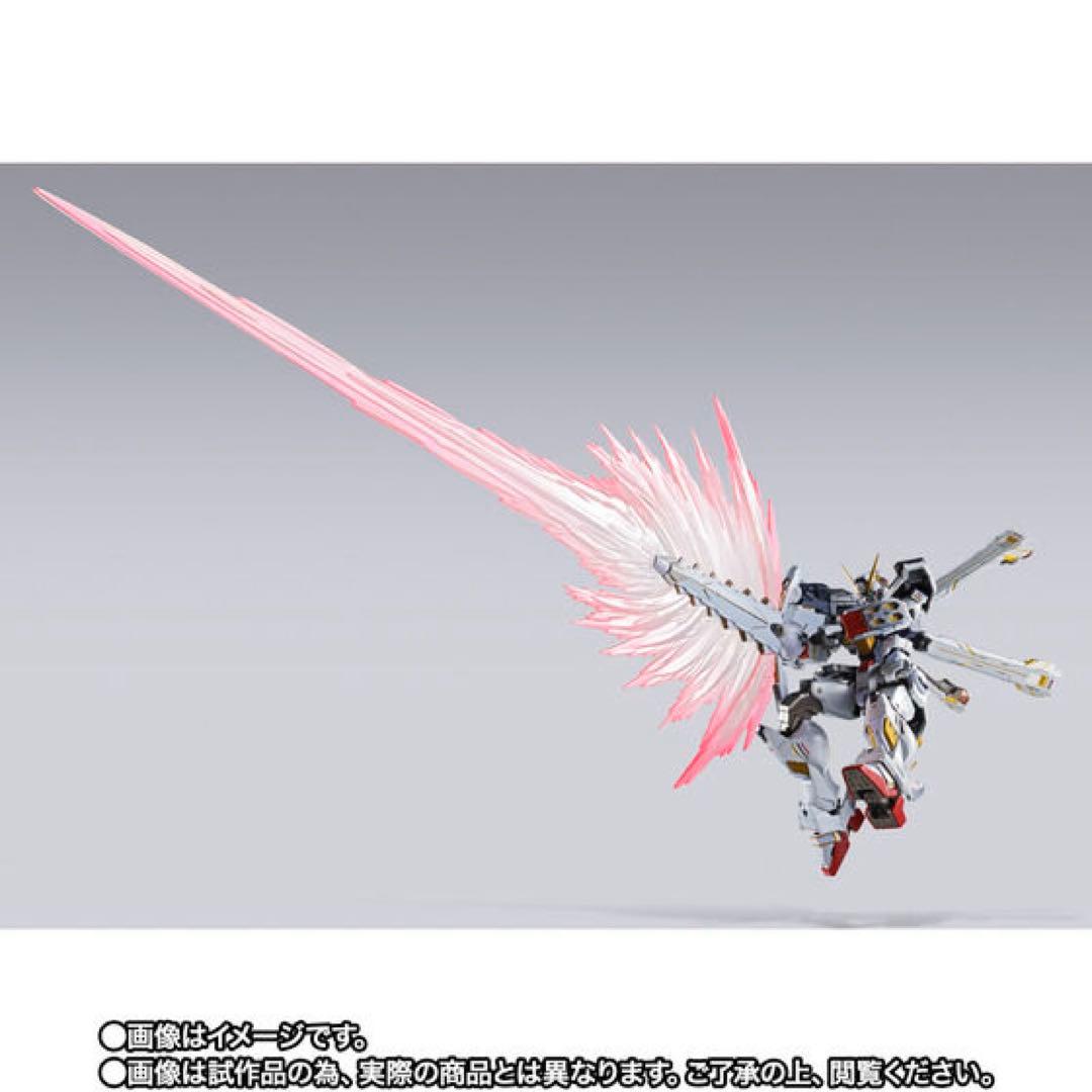 LBUILD クロスボーンガンダムX1ハーフクロス