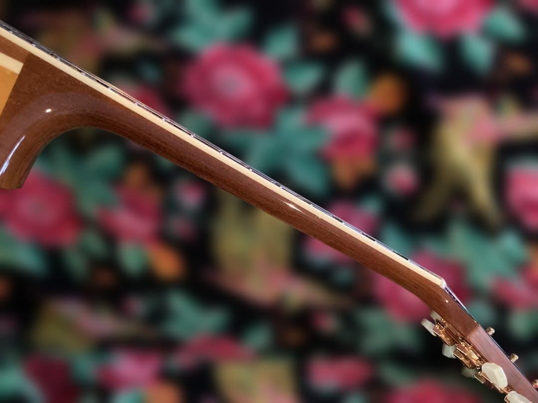 ギター Archtop Tribute AT-102