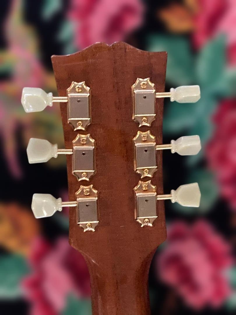 ギター Archtop Tribute AT-102