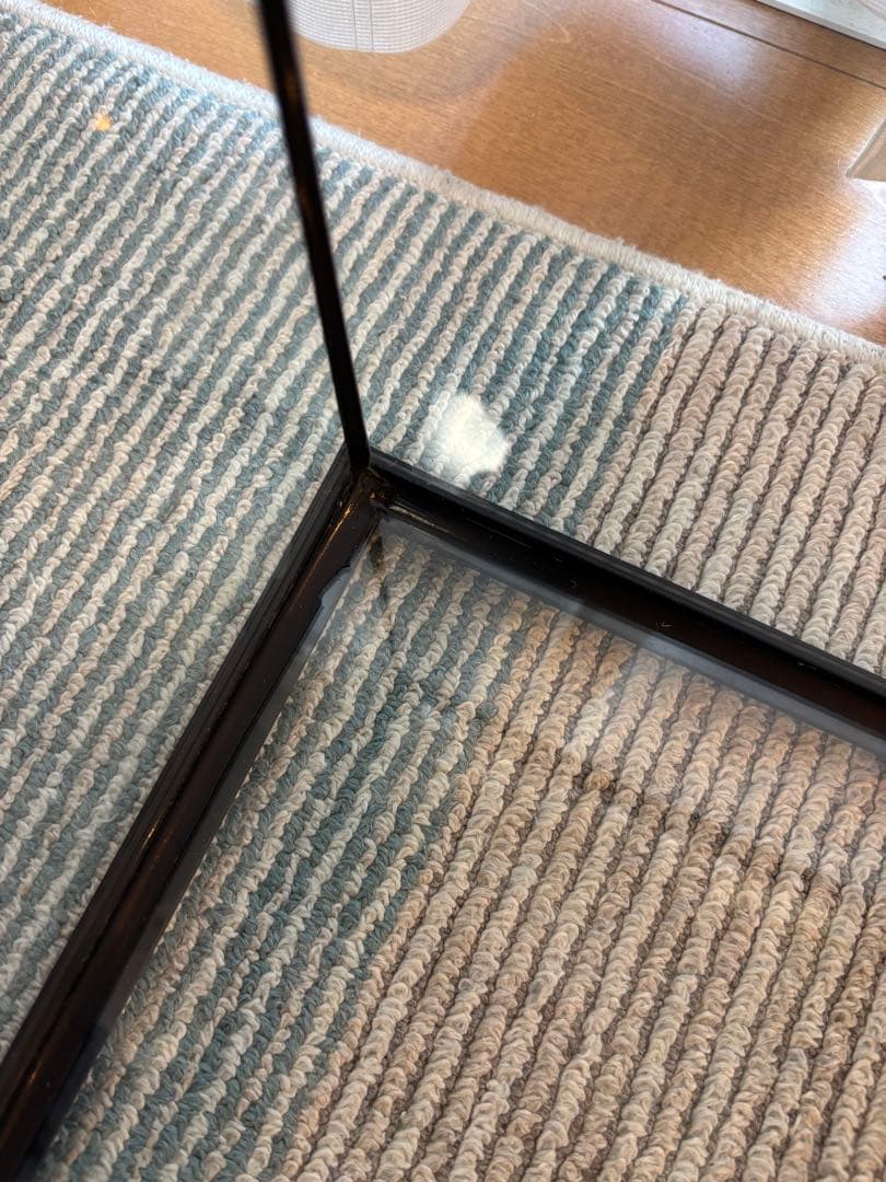 GEX EXOTERRA グラステラリウム3030 飼育ゲージ ガラスケース