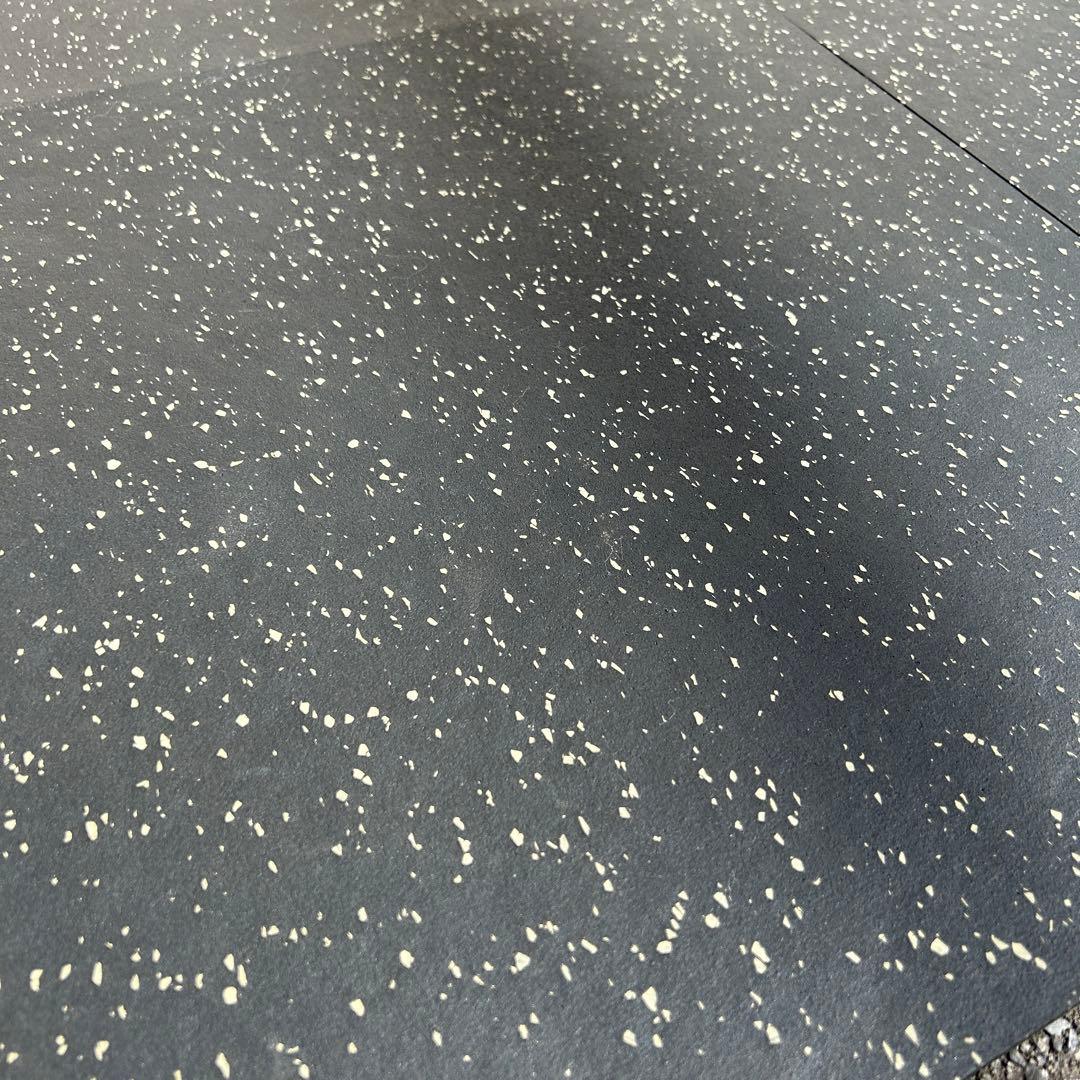 EVOLGEAR エボルギア 折り畳めるパワーラック ラットプル付き　レボルワン