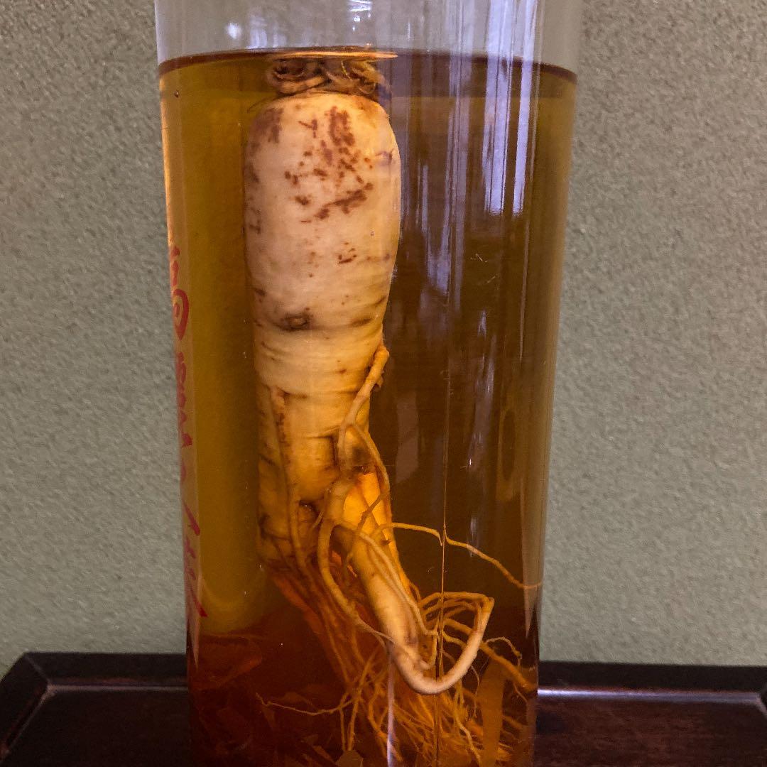 高麗人参酒　京畿道江華産6年根【古酒】