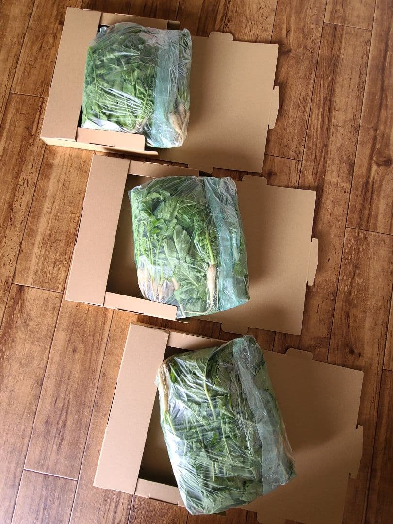 大根　大根菜　大根葉　野菜　300㌘～