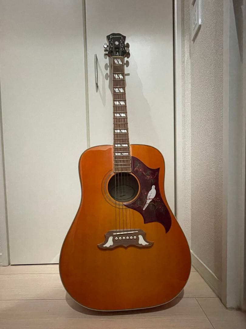 Epiphone DOVE Studio エレアコ