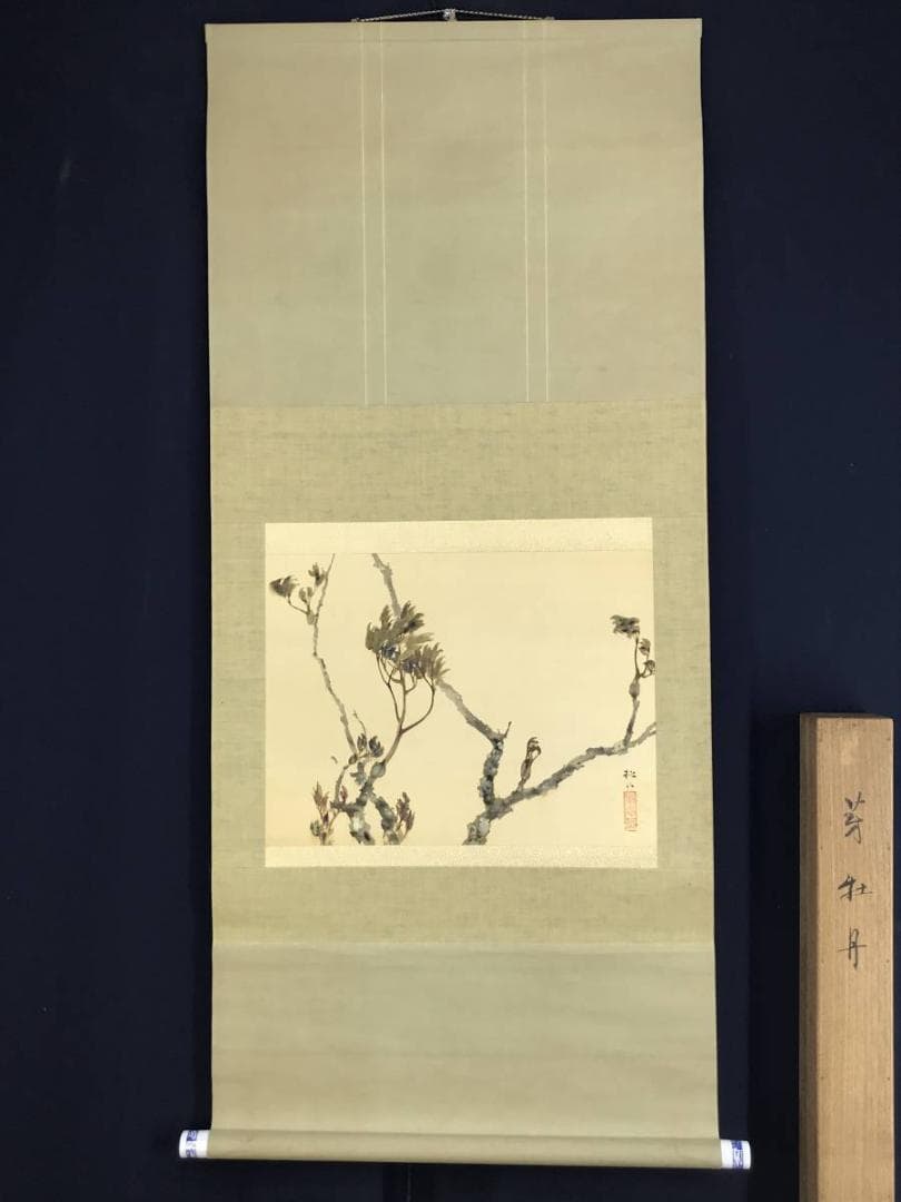 【真作】藤井松山/芽牡丹図/牡丹図/花図/横物/掛軸☆宝船☆AD-454