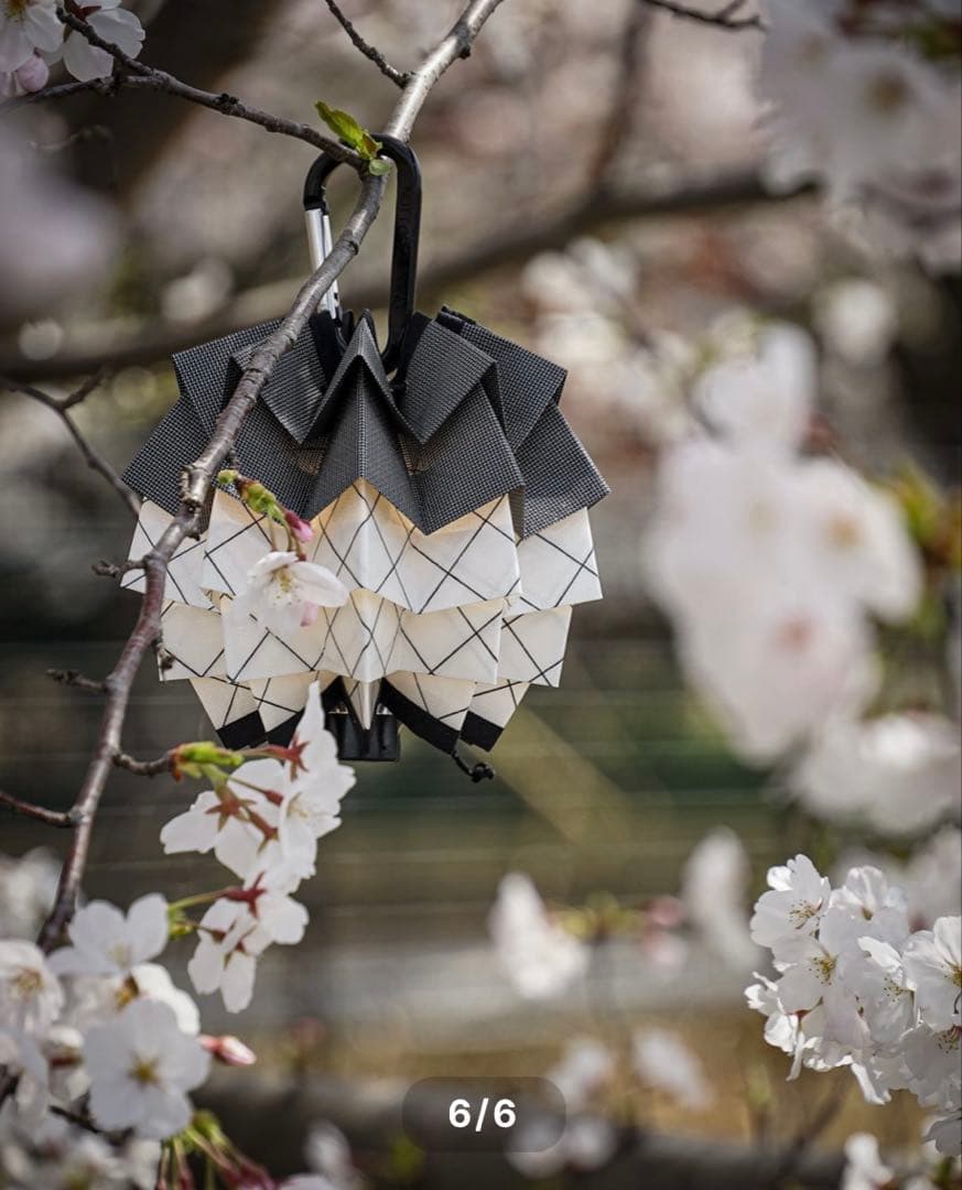 【新品未開封】solworks solol -  ソルオル