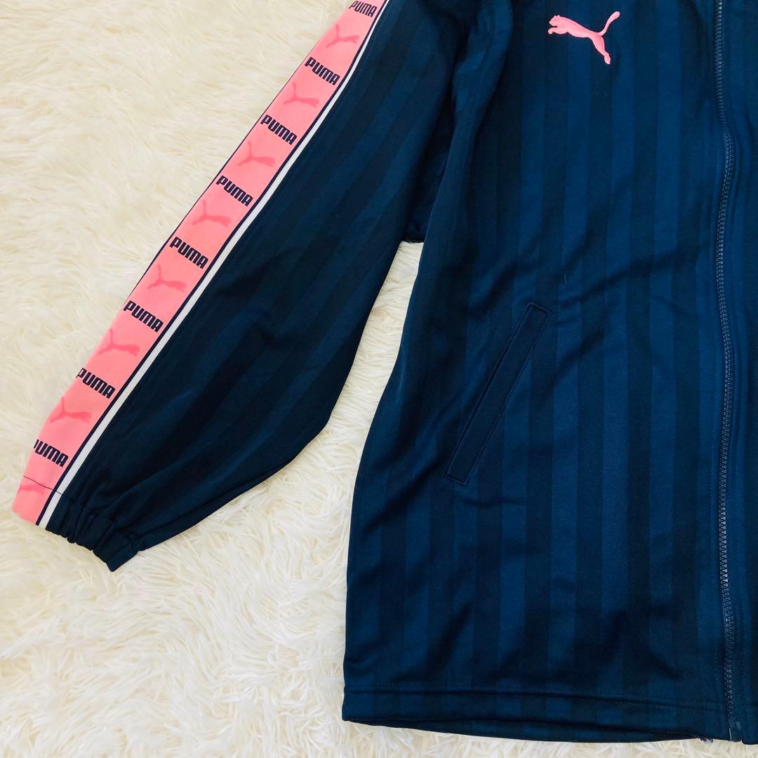 PUMA プージャー　セットアップ　ピンク　刺繍ロゴプリント