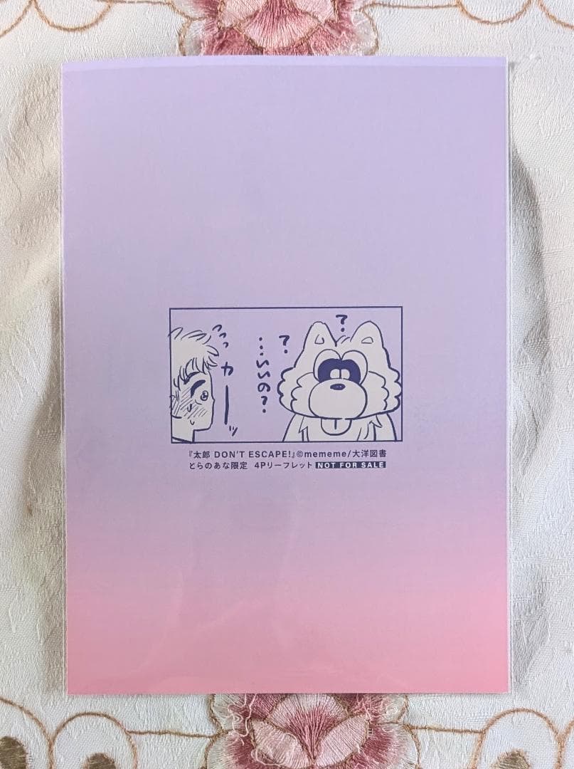 特典セット 太郎DON’T ESCAPE! FAVORITES ロックンロール