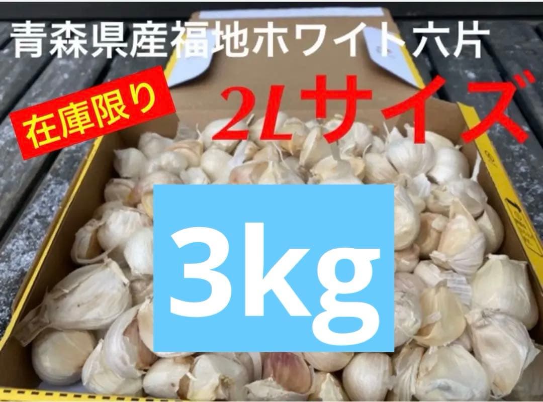 タネにおすすめ　青森県産 にんにく 3kg 2Lサイズ　福地ホワイト六片
