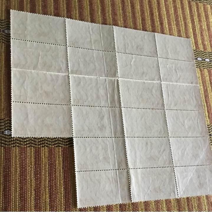 希少！帝国議会議事堂竣工記念切手22枚ブロック！カタログ価4万4千円！裏糊ツヤ